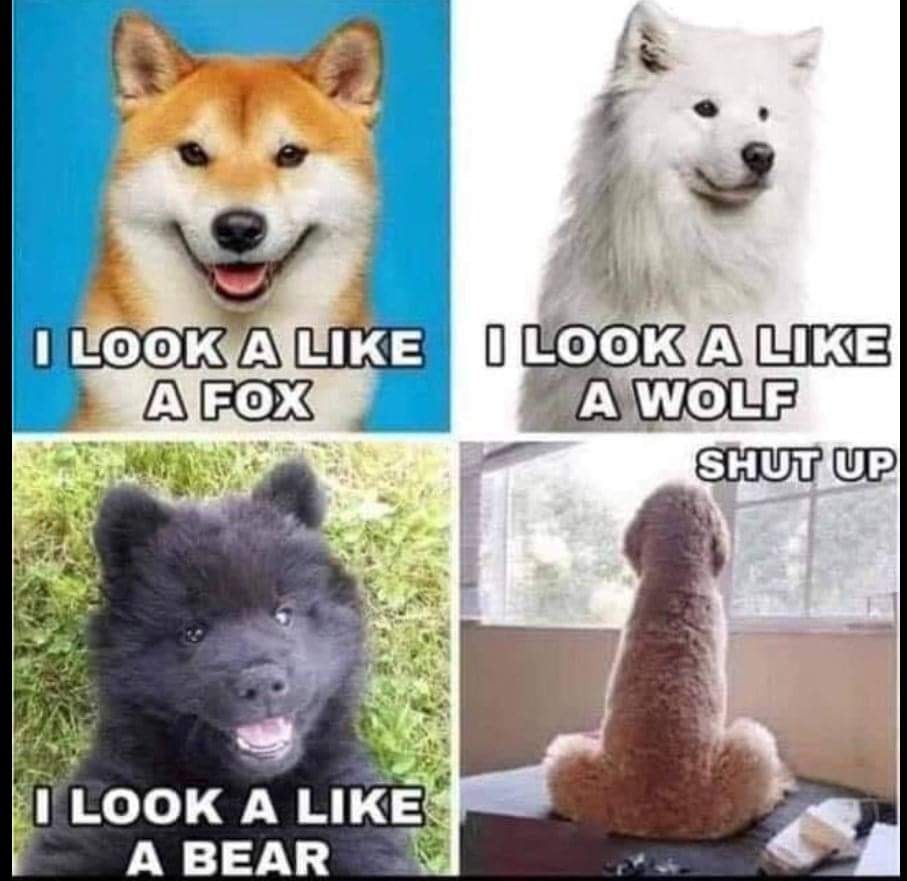 @OhThatKelsey