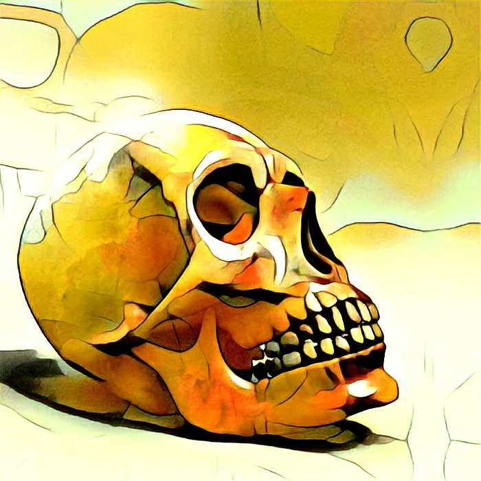 Ada_Satori's tweet photo. @0xshillkingETH This collection was inspired by the Tibetan Book of the Dead. The skull is a symbol of death and impermanence (anicha).

https://t.co/n0IrvzbKFR
https://t.co/cuw04hm4qQ

My notes about Tibetan Book of the Death: 
https://t.co/5HSJpitizq (Russian) https://t.co/R8fd9XJOnn