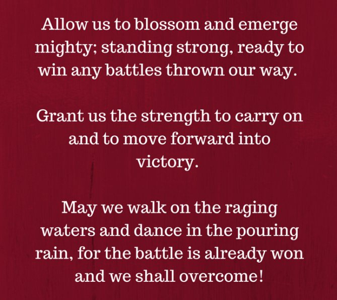 Gwen Sisson (@gwenwoodssisson) on Twitter photo 