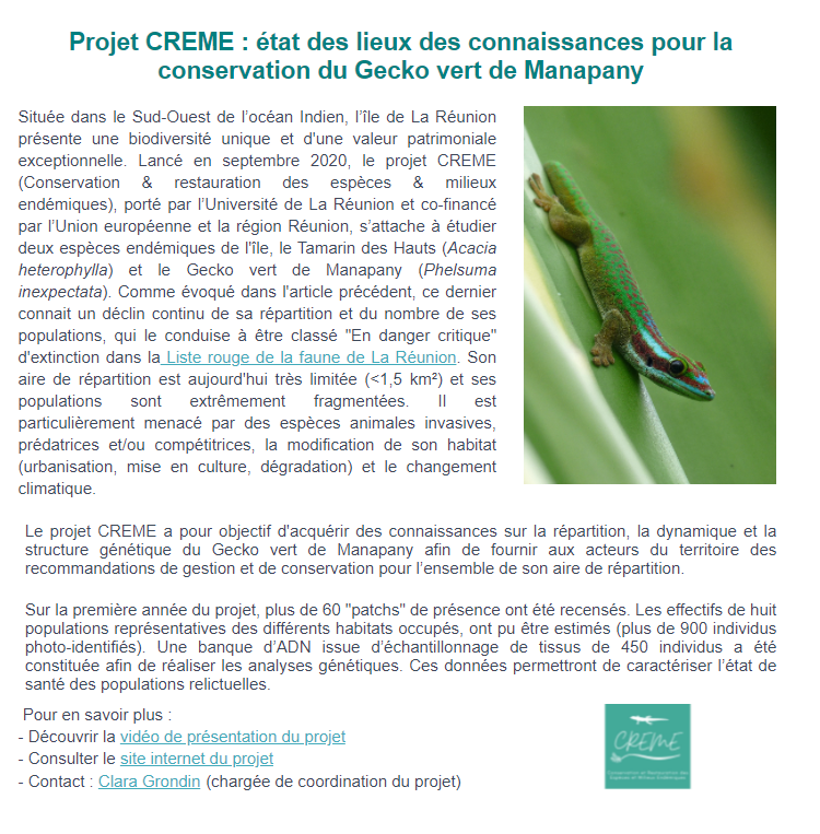 ProjetCREME's tweet photo. Le projet CREME est dans la lettre d'actualités #Espèces de @UICNfrance !👉 https://t.co/ne8y2eAFWa
N'hésitez pas à partager ! @IUCN 
#UICN #IUCN #Gecko #GeckovertdeManapany #Recherche #Science #Sciences #Biodiversité #EspècesEndémiques #Réunion #projetCREME #Ecologie #Biologie https://t.co/eYKMUBuuaW