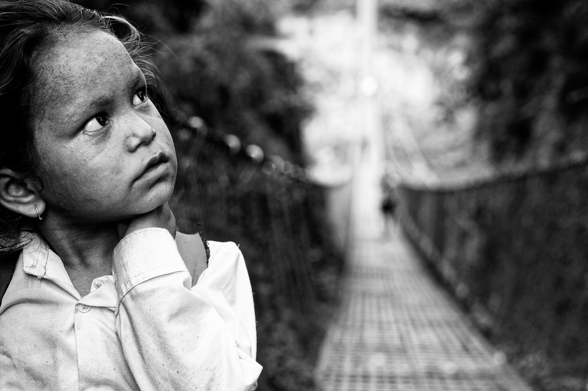 Karayla ilgili her şey tweet media