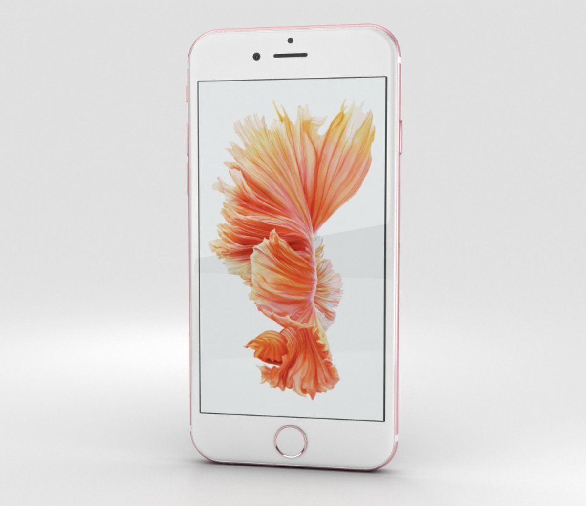 Apple Crypto Museum tweet media