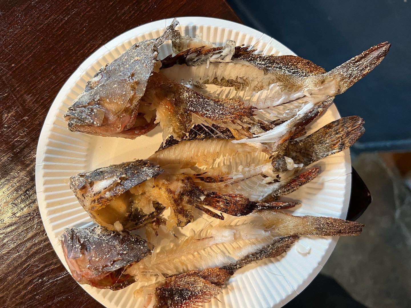 オフロ43度 釣れたカサゴとヨロイメバル唐揚げ粉つけて焼いて食べた 大変美味しゅうございました 淡路島釣り カサゴ ヨロイメバル 釣り アジング メバリング 淡路島 T Co Sgymoxffhu Twitter