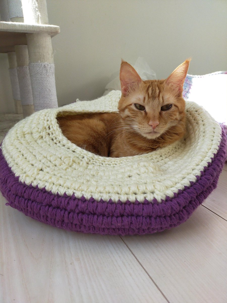 parvati69aya's tweet photo. 可愛いベイビーつくしくんが入ってくれた!
#cat #cats #katz #mau #кошка #猫 #猫だらけ #manycats #猫ボール #猫ちぐら https://t.co/ETolVk36tB
