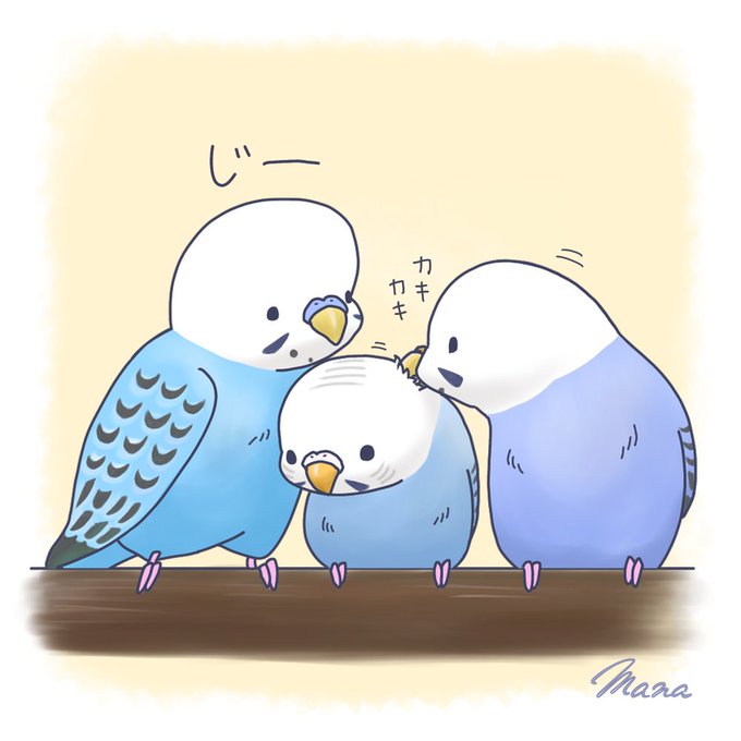 セキセイインコのtwitterイラスト検索結果