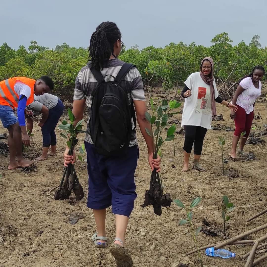2400 mangroves planted in Miritini in partnership with @mitialliance 🌱🌱🌱🌱🌱🌱🌱🌿🇰🇪 @wba_ke @biolite @turnupforgood @milkywire @ciirug @clrmuthoni @organixke @blue_earth_organization @kenyaforestservice #instagood #mangroves #climateaction #insta