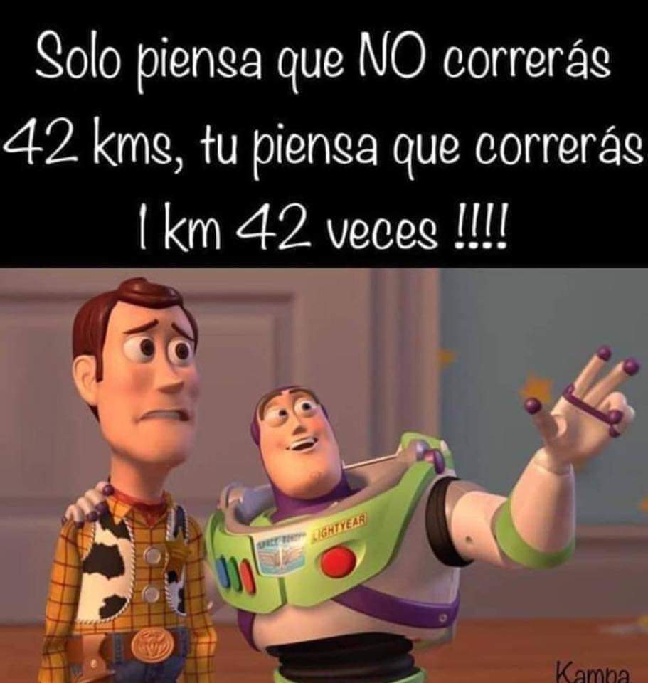 AlfonTW's tweet photo. Vamos Carmen!!!

#runforyouSevilla2022

@MaratonSevilla @runforbruno https://t.co/4gbE81wsAC