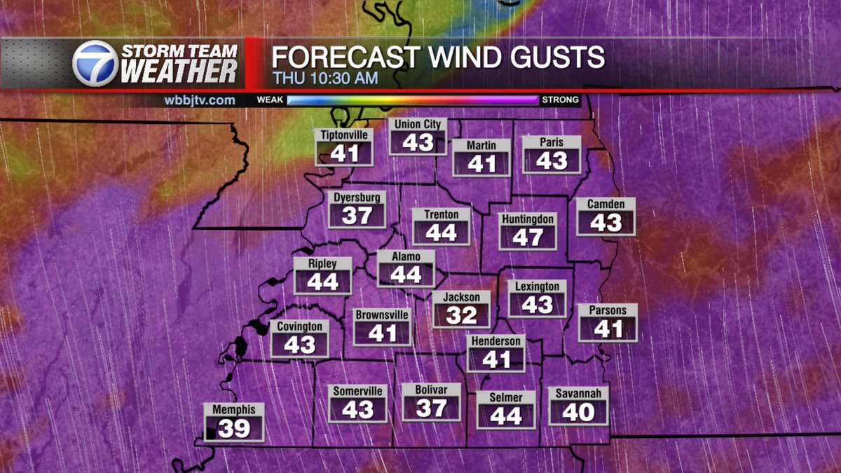 Storm Team Weather tweet media
