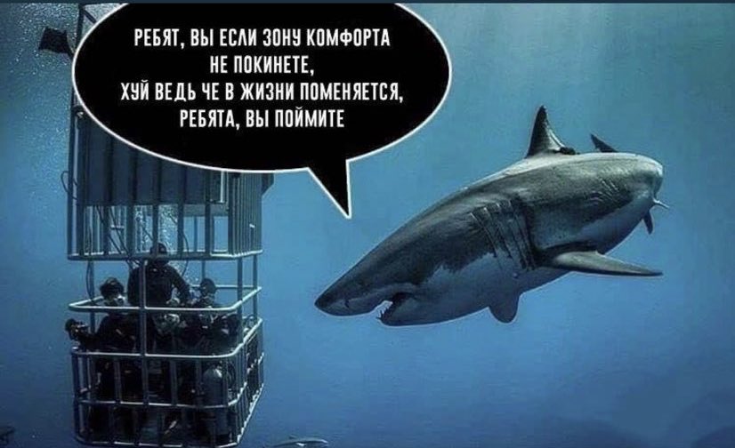 Donutlsdc's tweet photo. @AntonBelyayev1 https://t.co/G4On56MdkB