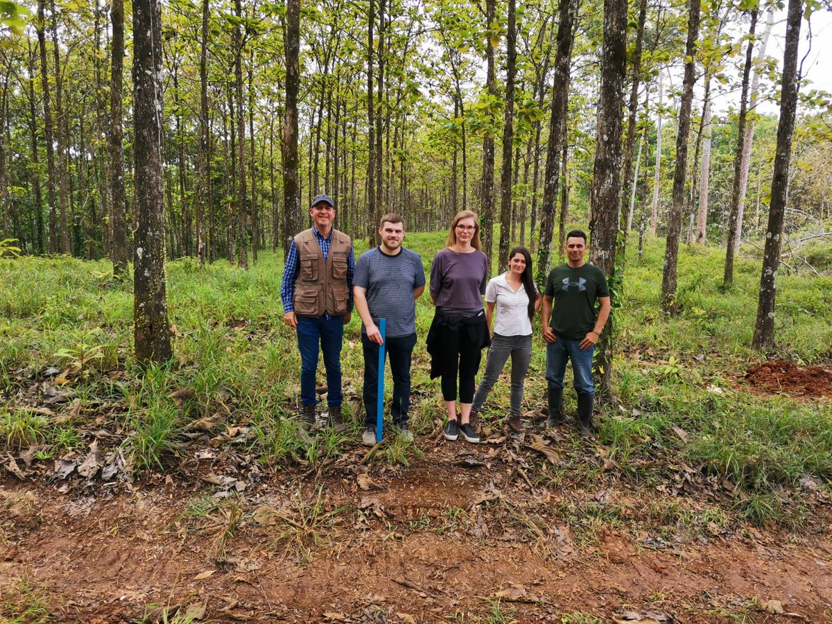 Timbeter's tweet photo. Costa Rica develops pilot project that implements Estonian technology to improve transparency and efficiency in the forestry sector
Read more -> https://t.co/5DEVkrUkn8
#timbeter #precisionforestry #AI #machinelearning #sustainability https://t.co/i2OB8DjnOA