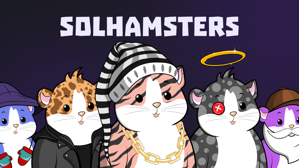 SolHamsters tweet media