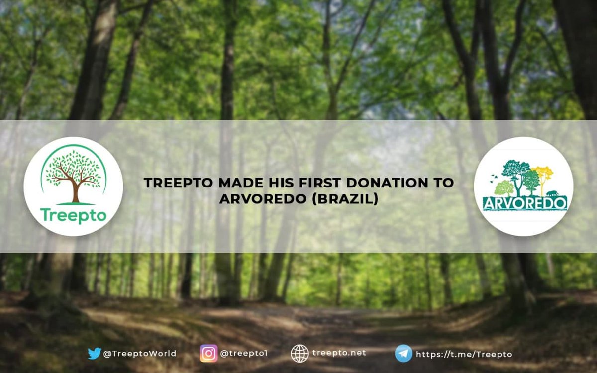 TreeptoWorld's tweet photo. Dear Treepto Holders,

We are happy to say Treepto made his first donation !

1.000$ for planting trees in deforested areas  (1000 trees planted)

We would like to thank all the holders for believing in us and to help our earth.

Website Arvoredo : https://t.co/6dlu18Jvo0 https://t.co/6rXULh5lX4