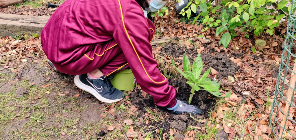 St. James's PS tweet media