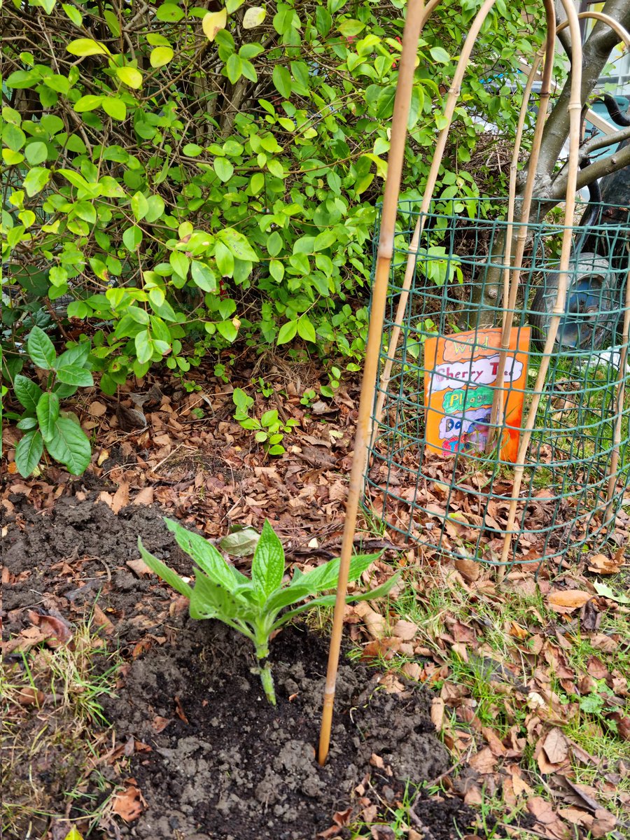 St. James's PS tweet media