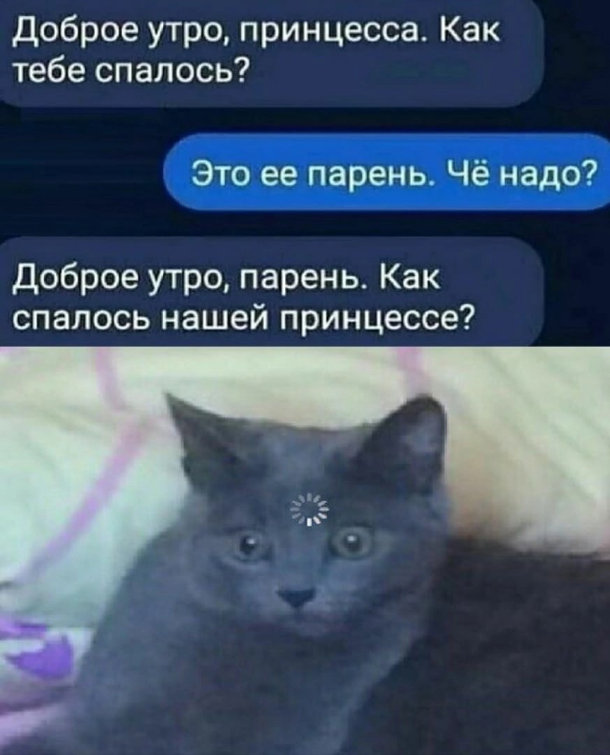 mignon11111's tweet photo. Переиграл и уничтожил хаххахаха https://t.co/b6S1mRF7Vm