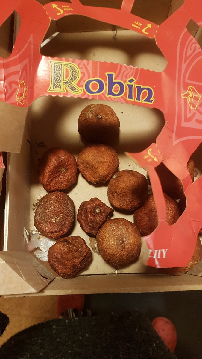 Svona líta mandarínur út þegar þær fá að marinerast í 2 mánuði sirka🙈