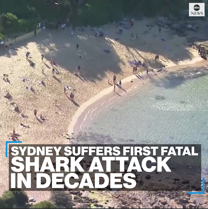 ABC News on Twitter: "HORROR: Sydney, Australia suffered its first
