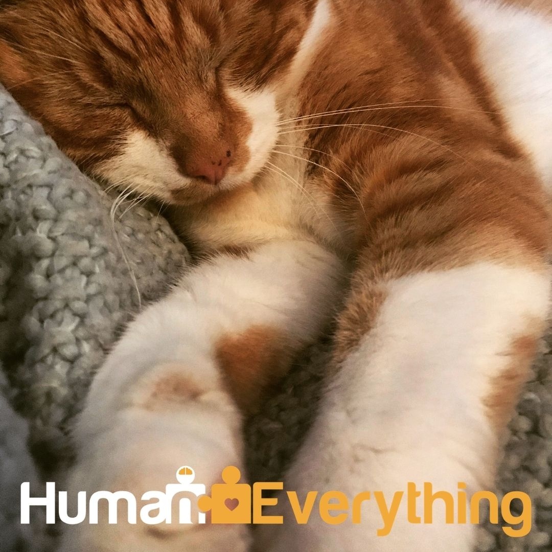 We've stopped drinking alcohol and my REM sleep is going bonkers! 

Has anyone else noticed any change in their sleep with the effects that alcohol can have?

#dreams #sleeping #dryjanuary