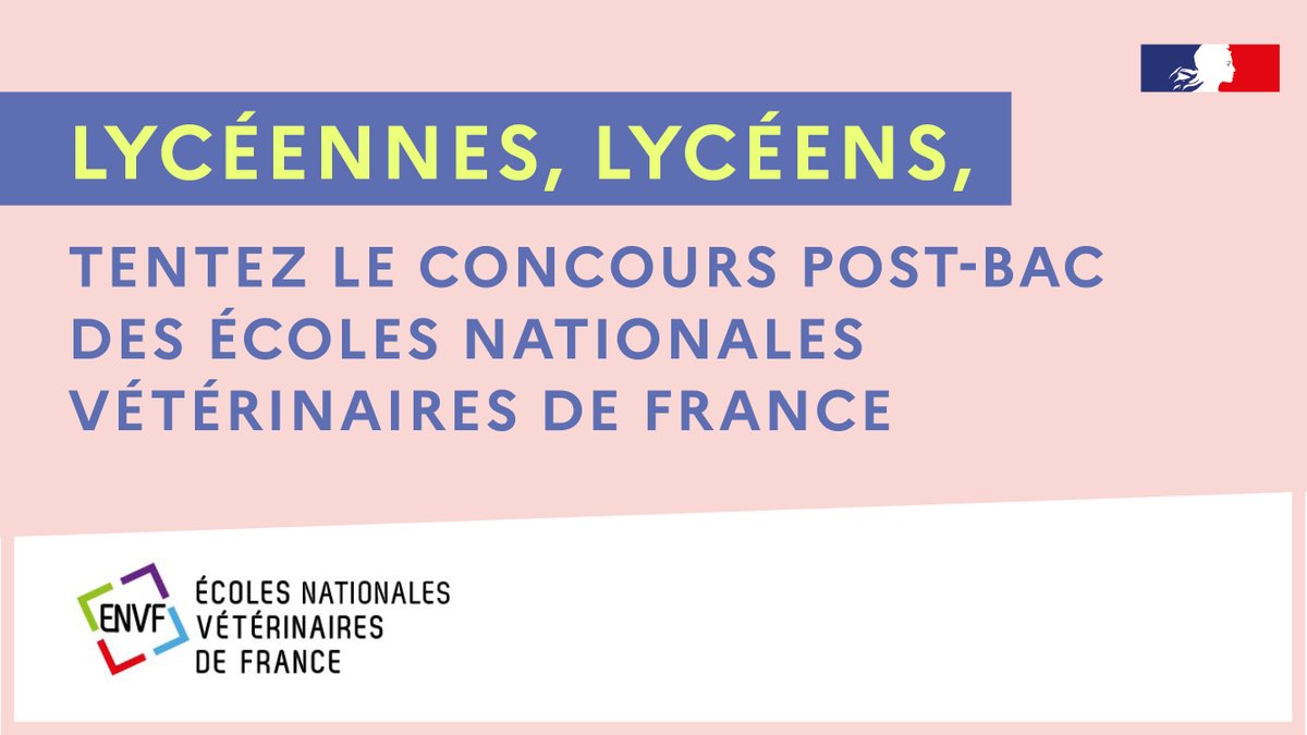 Env_Alfort's tweet photo. FORMATION - #Lycéennes et #lycéens, les #Écoles nationales #vétérinaires de France ont un message pour vous !
📌 Formulez votre #vœu sur #Parcoursup avant le 29 mars 2022.
Profitez du week-end pour réaliser cette #démarche importante !
▶️ Infos : https://t.co/Ka8xz8SWlq 1/2 https://t.co/rML8jHZZ9V
