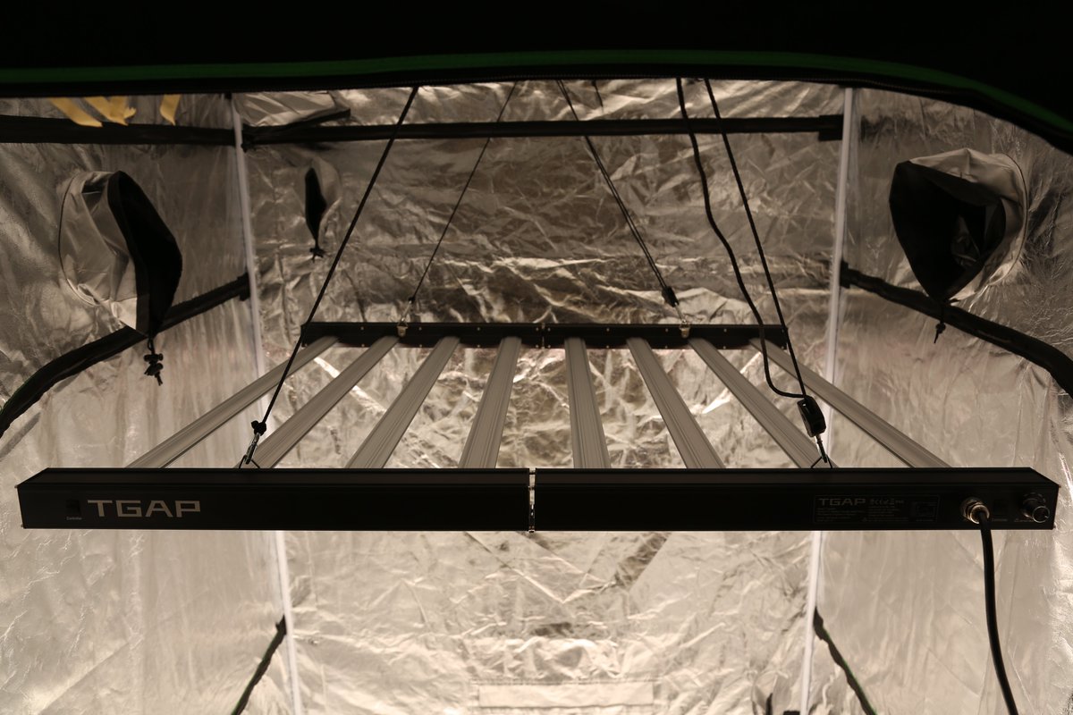 GalenYang4's tweet photo. We built with quality, and your flower tells the difference.
#tgaplighting #tgap #LightSpectra #LEDvsHPS #GrowLight #FirstHydro #Growsupplies #hydroponics #indoorgrow #commercialgrow #agriculture #californiagrown #growlighting https://t.co/qS3wyqRSfb
