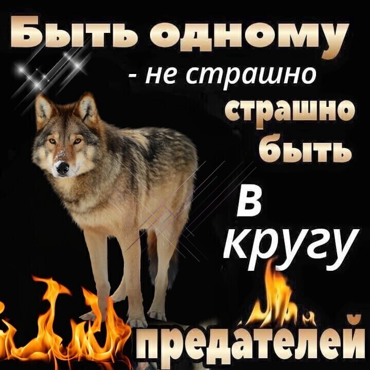 POMAH_RSFSR_'s tweet photo. https://t.co/b5nXQmUTGi