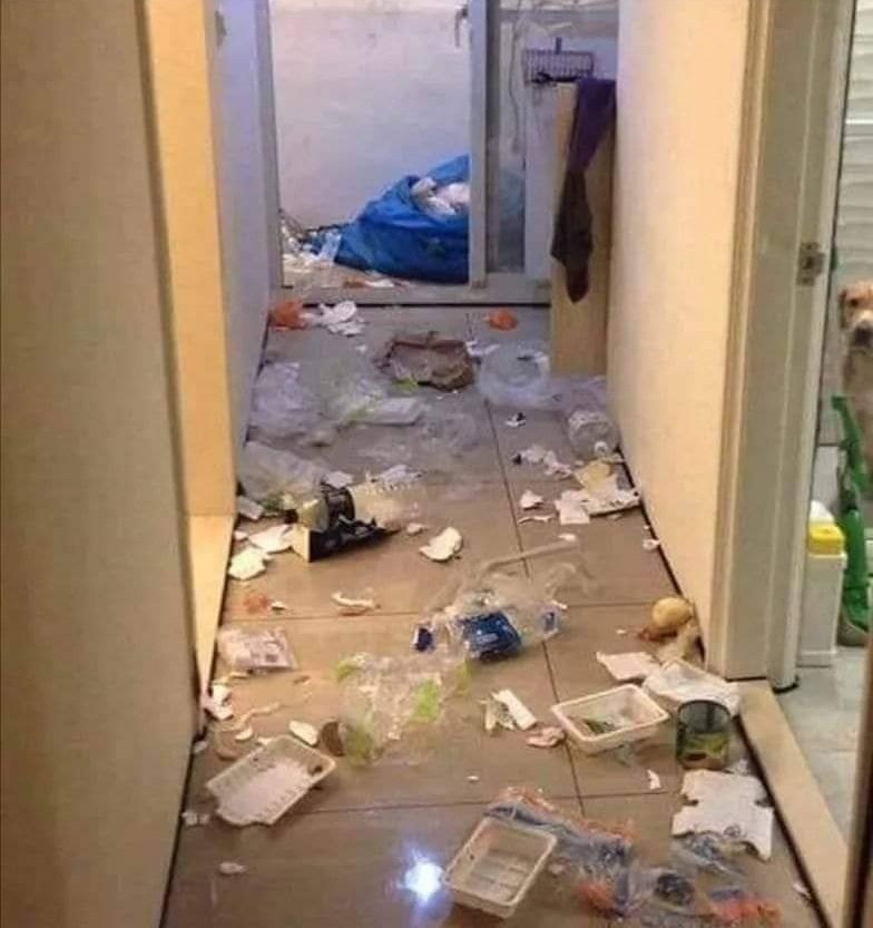 Ritwitta quando hai visto il principale sospettato 😂