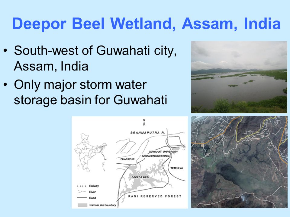 Bidyut Rajkonwar tweet media