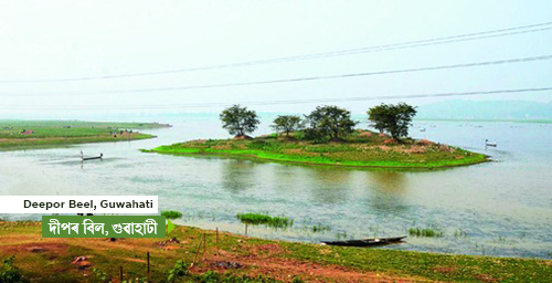 Bidyut Rajkonwar tweet media