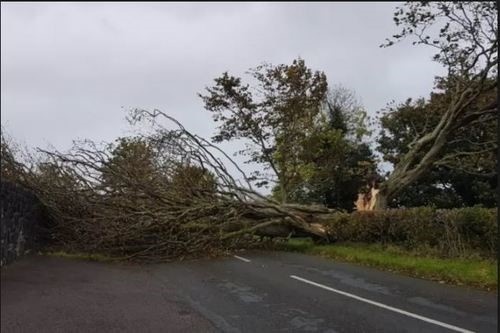 Storm #Dudley may bring some strong gusty winds at times this afternoon across #Gloucestershire, but we don't expect to see a huge impact on our network.  On the other hand storm #Eunice, due visit us on Thu eve/Friday, will likely bring some strong &amp; damaging winds 🌬️ <a href="/GlosCC/">Gloucestershire CC</a>