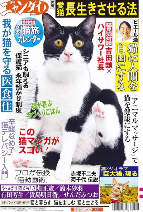 日刊ゲンダイの特別号「日刊ニャンダイ2022」が発売 猫だらけの1冊に猫愛があふれている https://t.co/QiilaafT9Q @itm_nlabより 