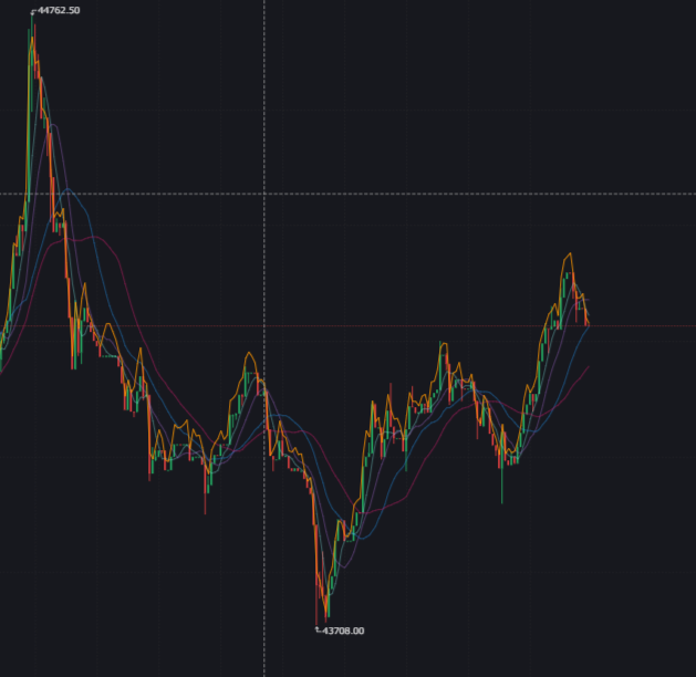 Baliusバリオス tweet media