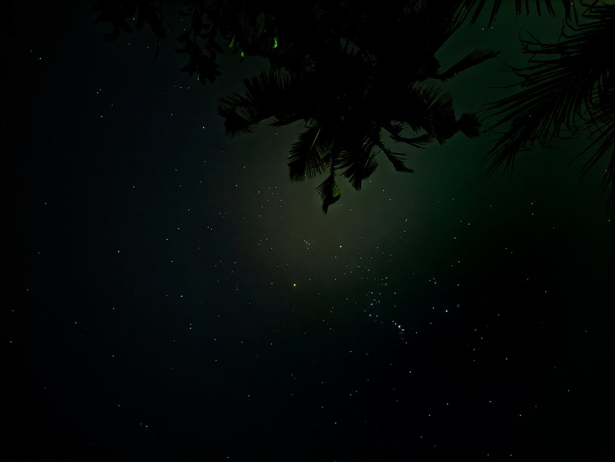 Alocious K Jose tweet media