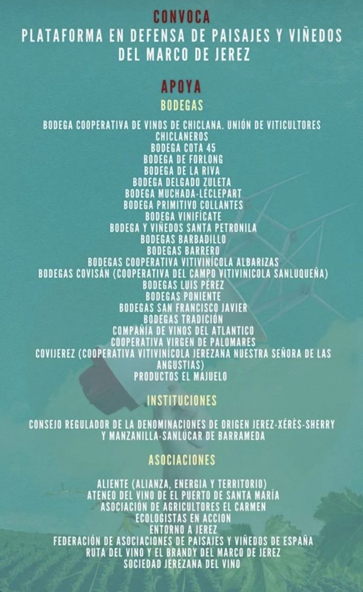 Spanish Wine Lover tweet media