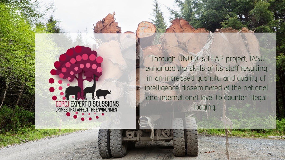 Combatting #deforestation 🌳and other environmental crimes requires in-depth financial analysis and investigations. 

Thanks to acting Director of the FIU #PapuaNewGuinea - FASU for sharing his experience at the <a href="/CCPCJ/">CCPCJ</a> expert discussions on crimes that affect the environment.