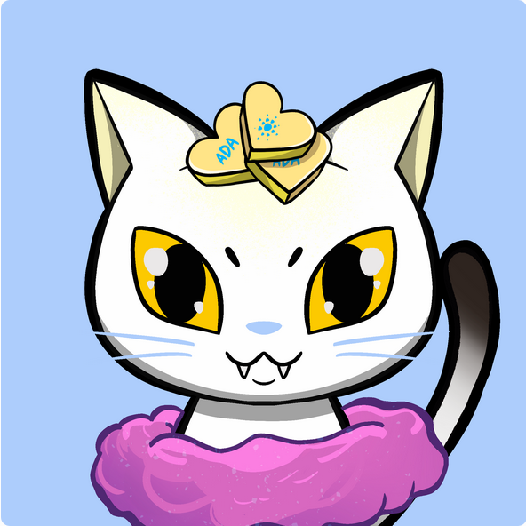 Crypto Simplified tweet media