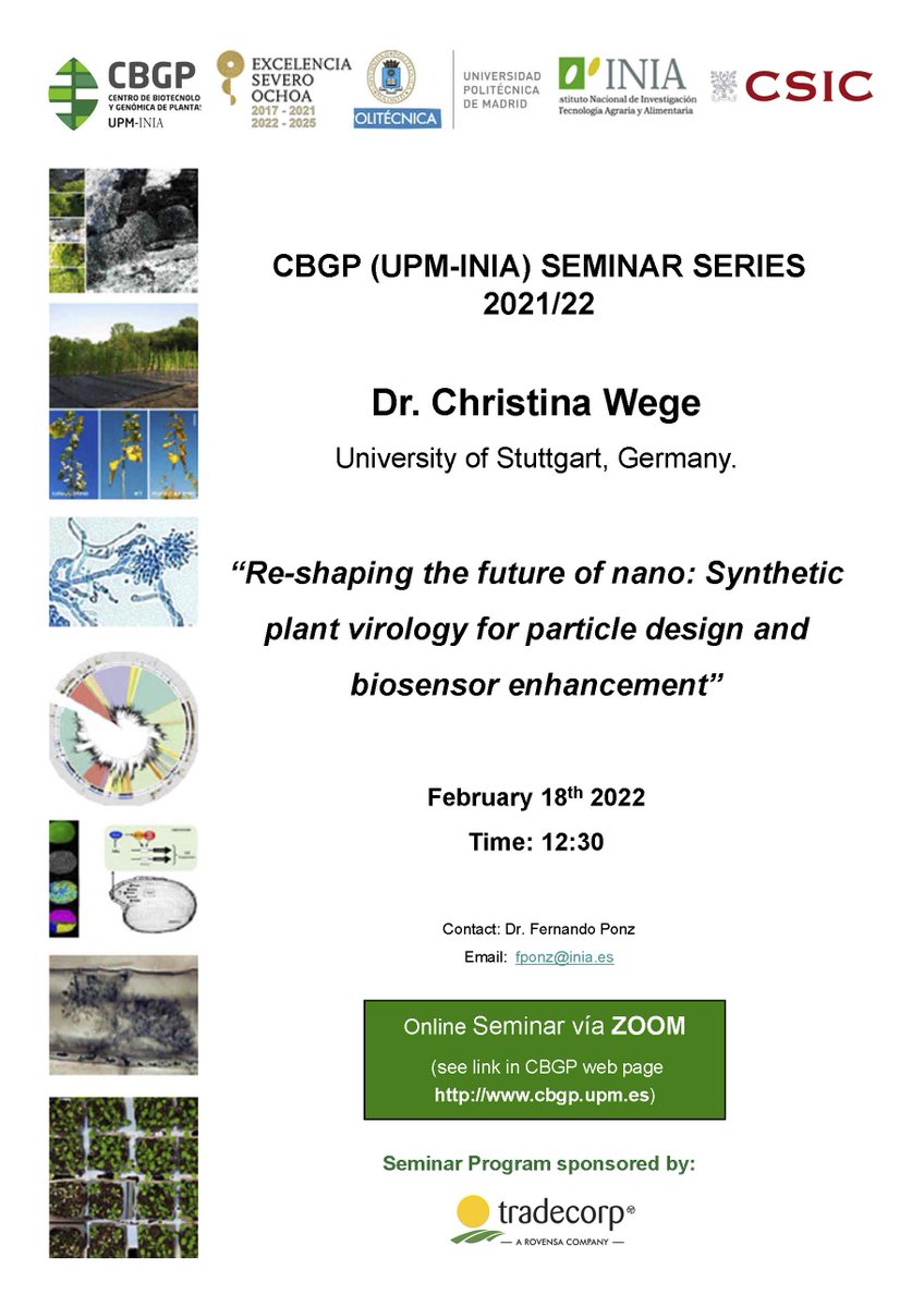 CBGP_Madrid's tweet photo. #SeminarCBGP | 18/02/22 - 12:30h

👩🏽‍🔬Dr. Christina Wege
🌍University of Stuttgart, Germany
📝Re-shaping the future of nano: Synthetic plant virology for particle design and biosensor enhancement
💻Zoom ID: 821 7317 0849 | Código acceso: 129264

#somosUPM https://t.co/UUg2FTWabE