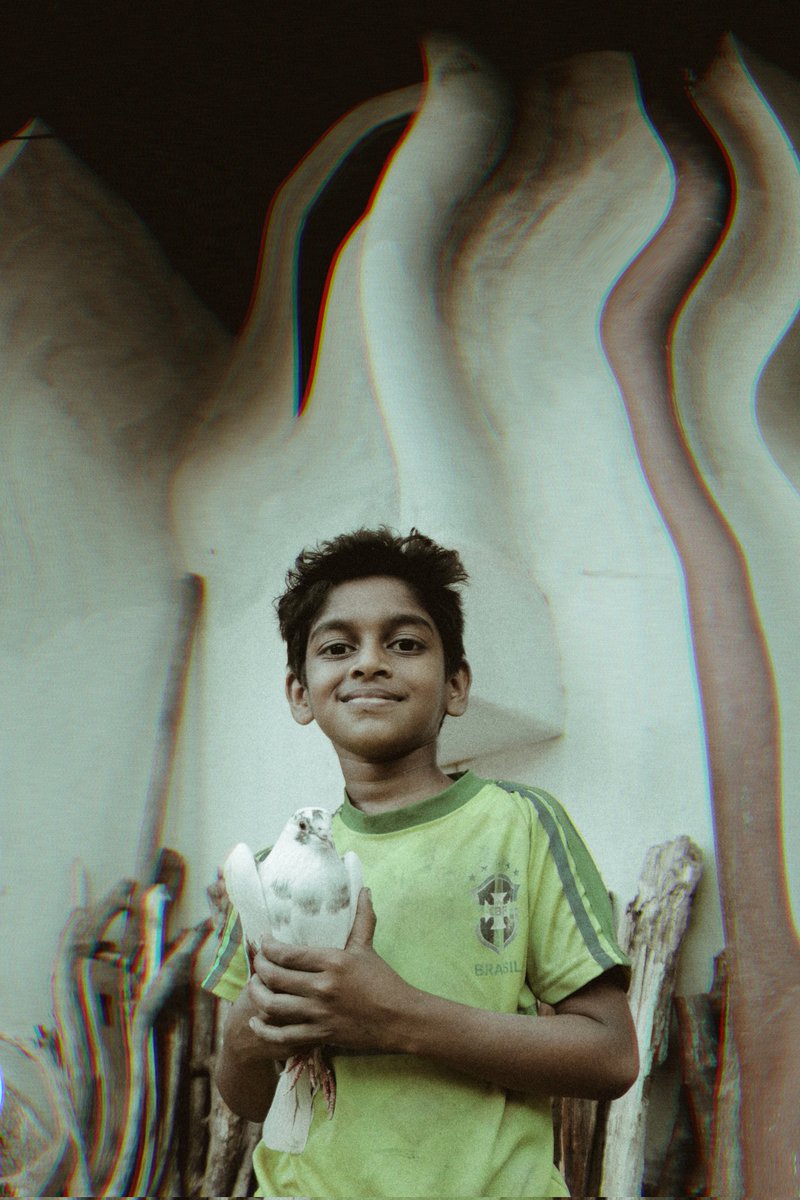 Alocious K Jose tweet media