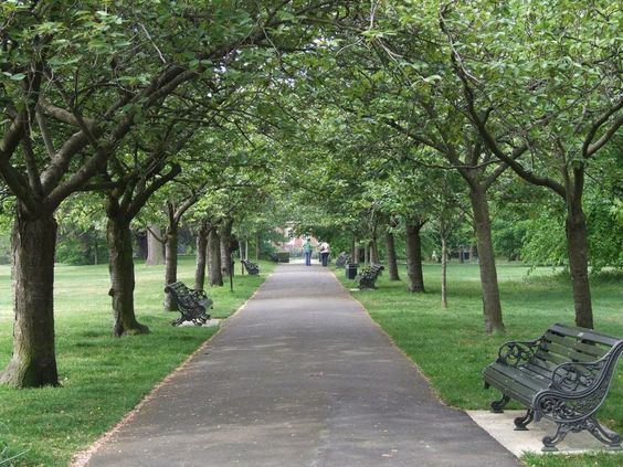 walk in the park with my bb