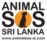 AnimalSOSSLanka's tweet photo. 📢 URGENT MESSAGE 📢

🆘 We only have two weeks running costs left in the bank which means our charity is on the brink of collapse 🆘

PLEASE donate to help save our charity 🙏 

Paypal - donate@animalsos-sl.com https://t.co/9NaepvUX0R