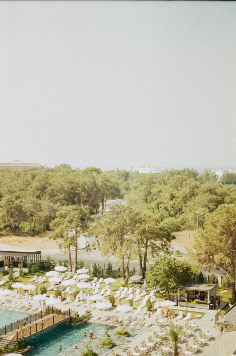 amidriel_'s tweet photo. The air was dense and hot, the birds and cicadas were chirping and I could see the sea on the horizon for the first time in seven years
“Summer Air”
Shot on Kodak color 200
2021
#filmphotography #kodakcolor200 #35mmfilm #nftphotographer #nftphotography #WomenInNFTs https://t.co/TzAgbMAZ4U