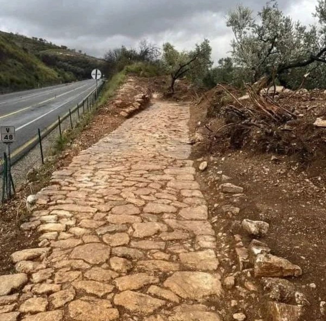 AQVILAROMANA's tweet photo. ...MENTRE SI FACEVANO LAVORI PER PORTARE A 3 CORSIE LA.SALARIA...AL 48°KM E'APPARSO UN PEZZO DI ANTICA SALARIA PERFETTAMENTE INTERGRA...
ALTRO CHE I LAVORI ATTUALI..CHE DURANO 3 MESI..
#salaria #passocorese #roma #impero #strade...  gradisci @Agnese73186871 ? https://t.co/rwRCDB6StE