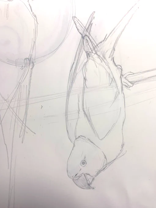 むずかしい 