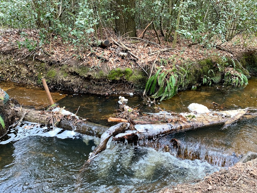 NERC NFM (@nerc_nfm) on Twitter photo On this day one year ago - a partially frozen leaky barrier❄️ It's over 12°C warmer than this picture today💦<a href="/FleetPondSoc/">Fleet Pond</a> @HartCountryside #NFM On this day one year ago - a partially frozen leaky barrier❄️ It's over 12°C warmer than this picture today💦<a href="/FleetPondSoc/">Fleet Pond</a> @HartCountryside #NFM