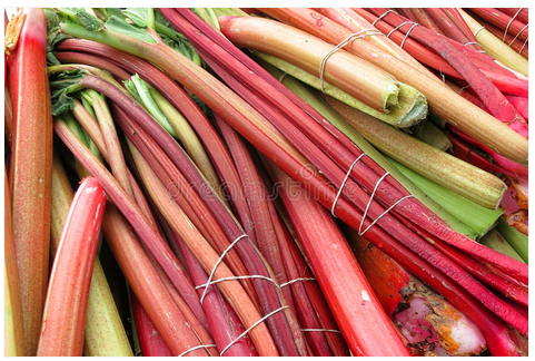 LCEO Newsletter February 2022 - mailchi.mp/8c11d0df0f89/l…