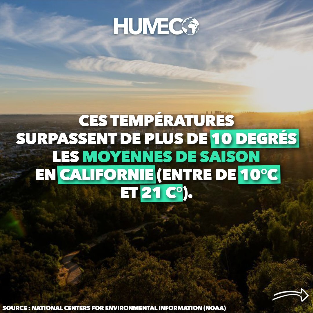 Jose Rexach Rexachjose Twitter