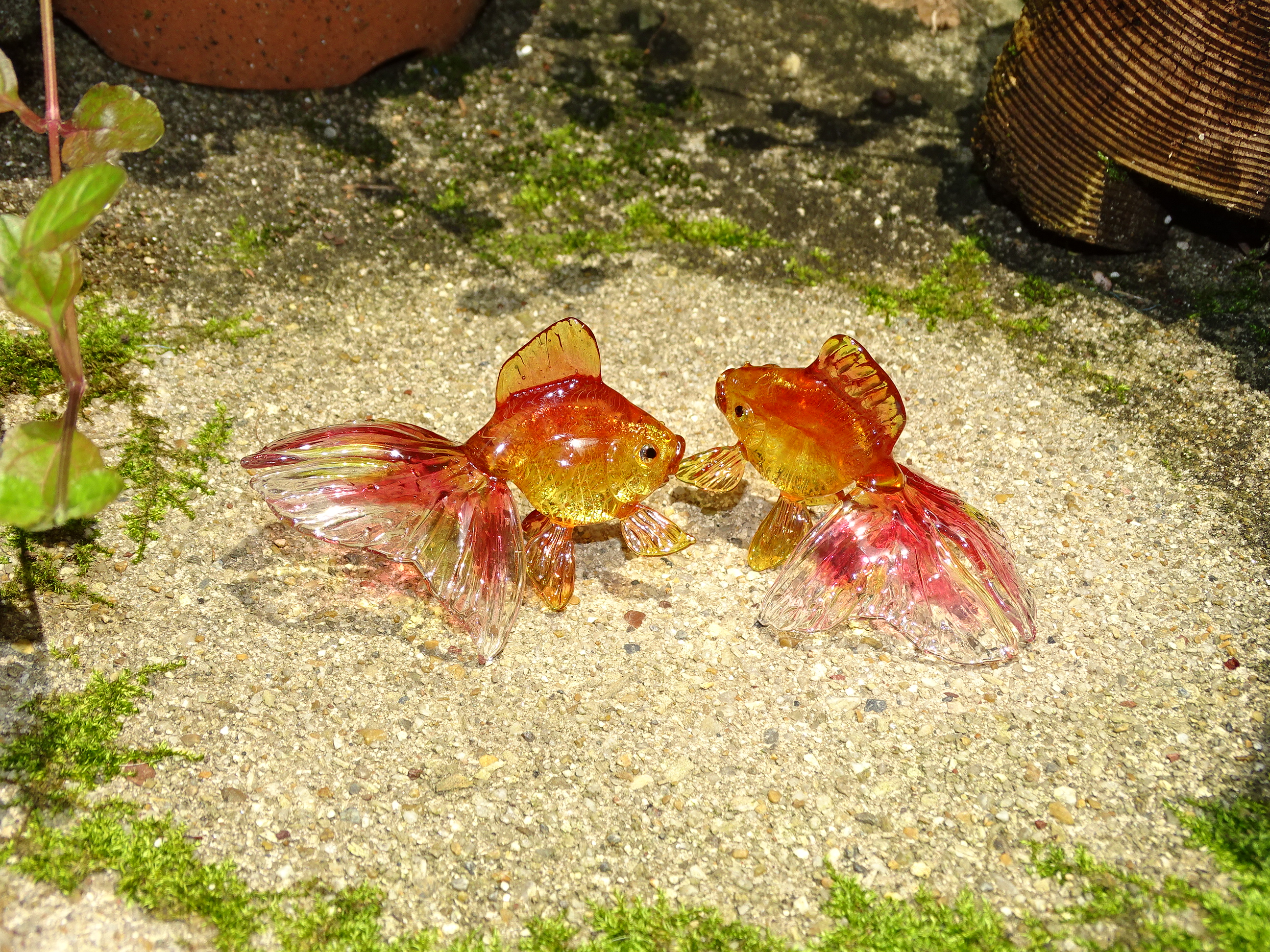 ガラスの金魚 網野篤子 個展8 22 28 銀座acギャラリー 手のひらサイズのガラスの琉金作品がドラマに登場しています Netflix 金魚妻 ガラスの金魚 網野篤子 T Co Elxncq2adr Twitter