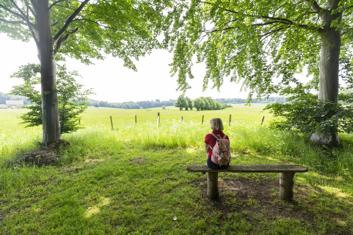 Do you enjoy helping people to connect with #nature and #history? We're looking for #volunteer Outdoor Guides to lead walks around the Bridgeman landscape at Lodge Park, engaging visitors in the story of this special space. Follow the link for more details bit.ly/3GU05gY