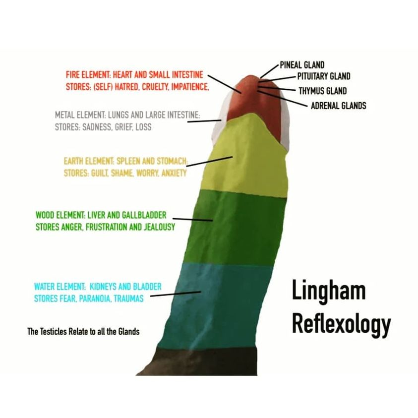erotictherapist's tweet photo. Your Penis is Sacred.  Massage gently and lovingly to release negative emotions from your whole body.
#semenretention #sexualtransmutation #sexualhealing https://t.co/H1MEtwMEFb