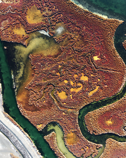 DelzoNFT's tweet photo. A drone view of the flora of the Venice Lagoon🌊🌾☘️
1 of 10 copies - take it now!!😻
#dronephotography #droneshow #NFT #NFTs #nftphotography #NFTCollection #nftart #landscapephotography #Naturephography #venezia 
https://t.co/htGia5x68t via @opensea https://t.co/4kjrmS8dwh
