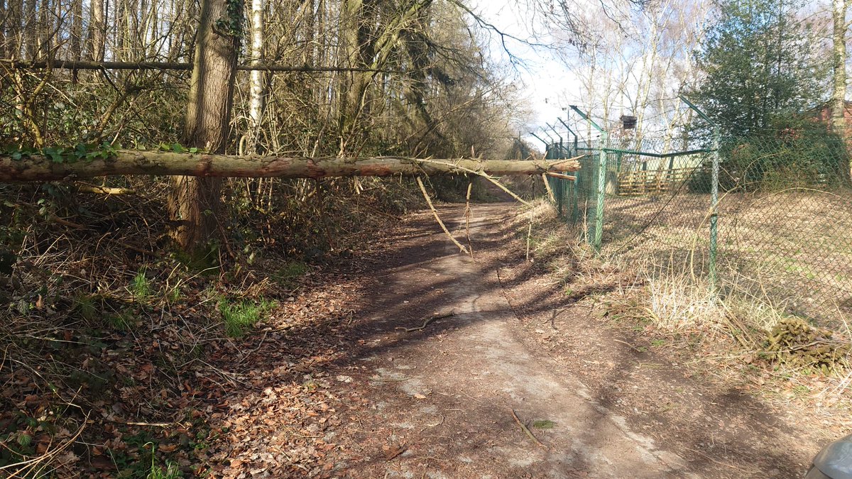Hoffen wir mal, dass der aufziehende #Sturm die Zufahrt zu unserem Standort #DB0VIE nicht noch mehr blockiert. 
Passt auf euch und Eure Antennen auf!  #Standort_im_Wald
